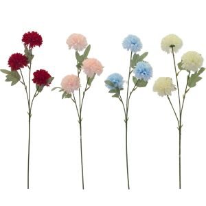 Demet Kasımpatı 60cm