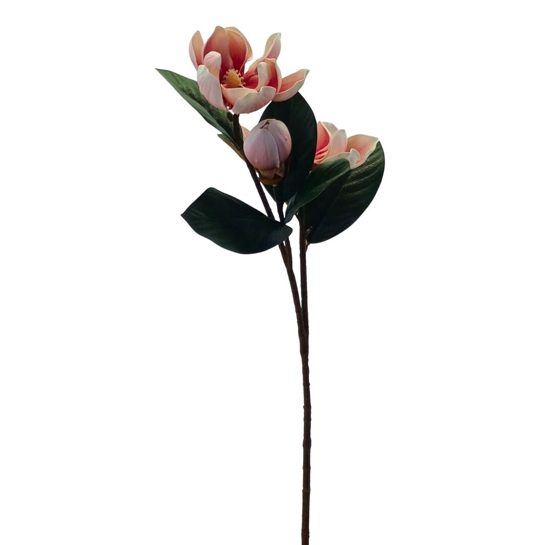 Manolya Üçlü Pembe 75cm