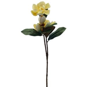 Manolya Üçlü Krem 75cm