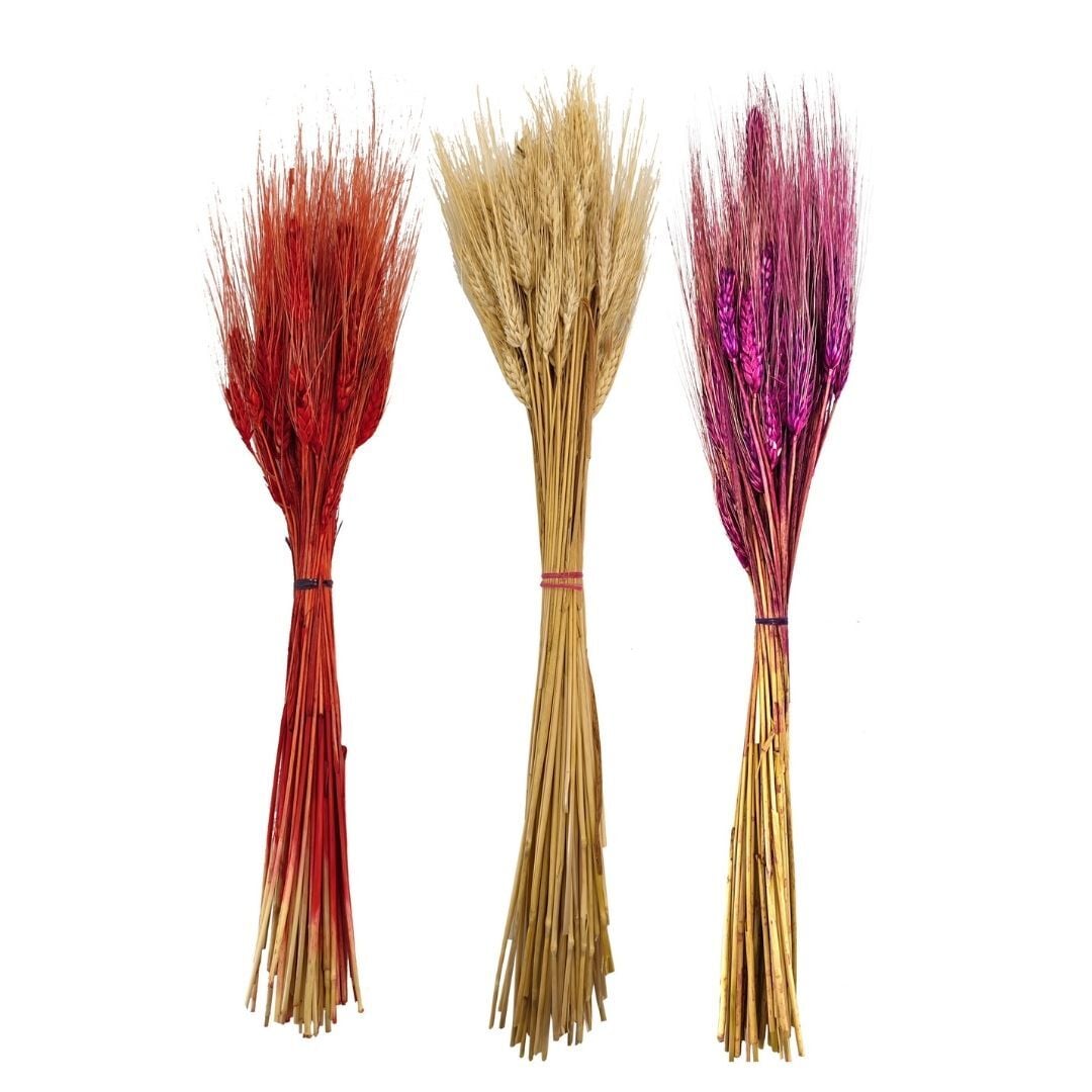 Doğal Kuru Başak 14x52cm