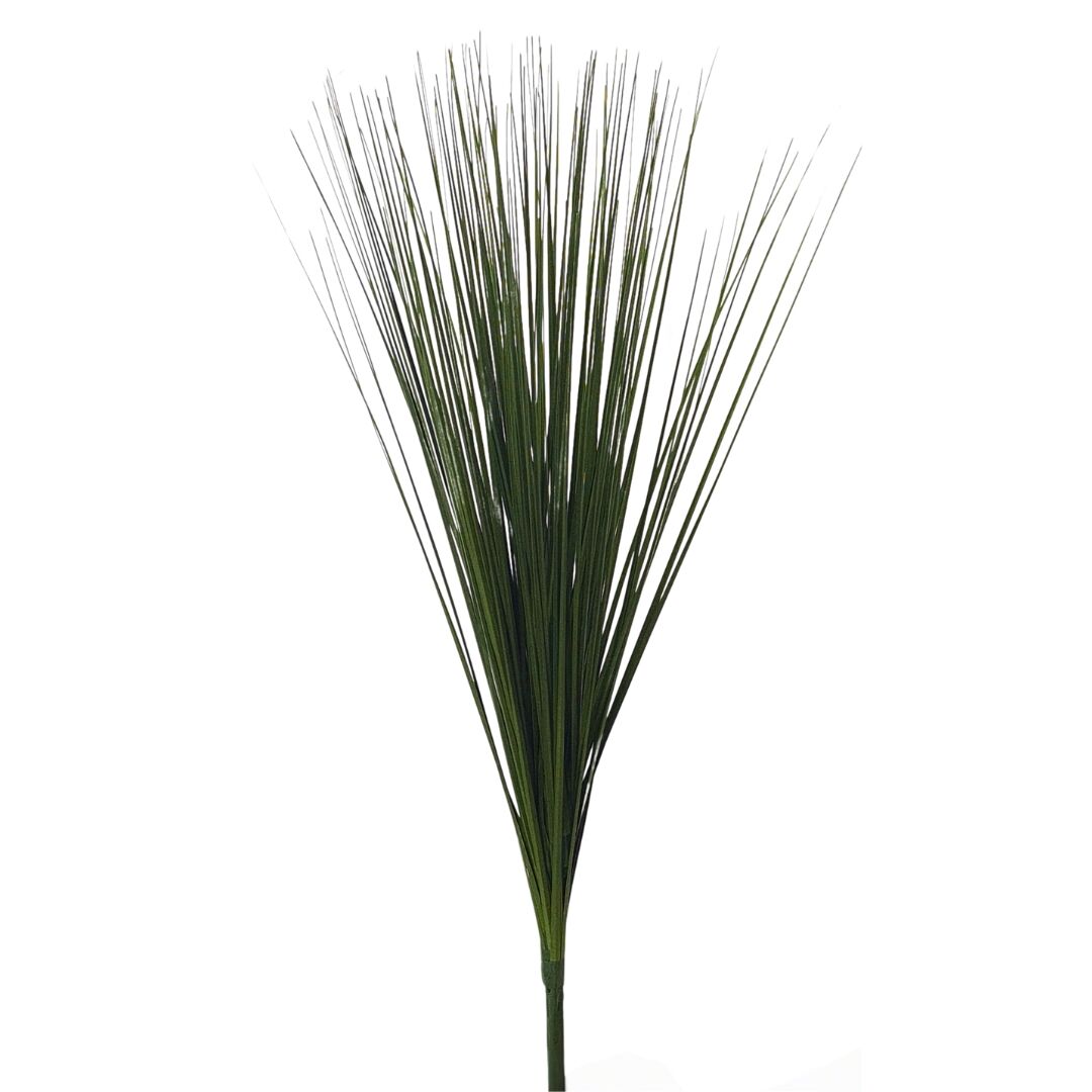 İnciraltı Yeşil Sazlık 77cm