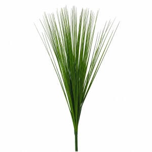 İnciraltı Yeşil Sazlık 77cm