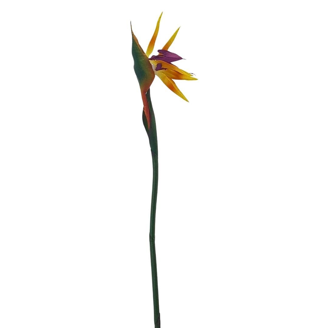 Tek Dal Islak Starliçe 80cm