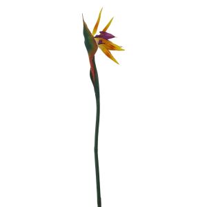 Tek Dal Islak Starliçe 80cm