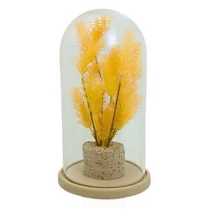 Bitkili Fanus 17x30cm