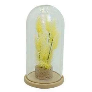 Bitkili Fanus 17x30cm