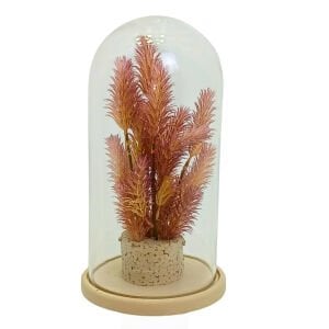 Bitkili Fanus 17x30cm