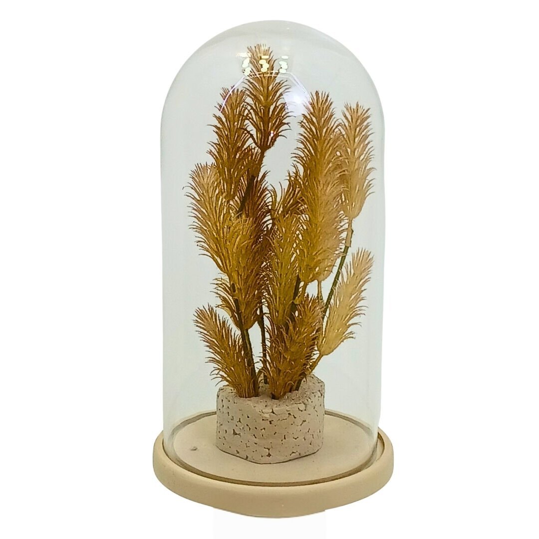 Bitkili Fanus 17x30cm