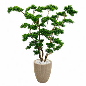 Bonsai Ağaç 50x140cm