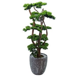 Saksılı Bonsai Ağaç 50x140cm
