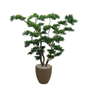Saksılı Bonsai Ağaç 50x140cm