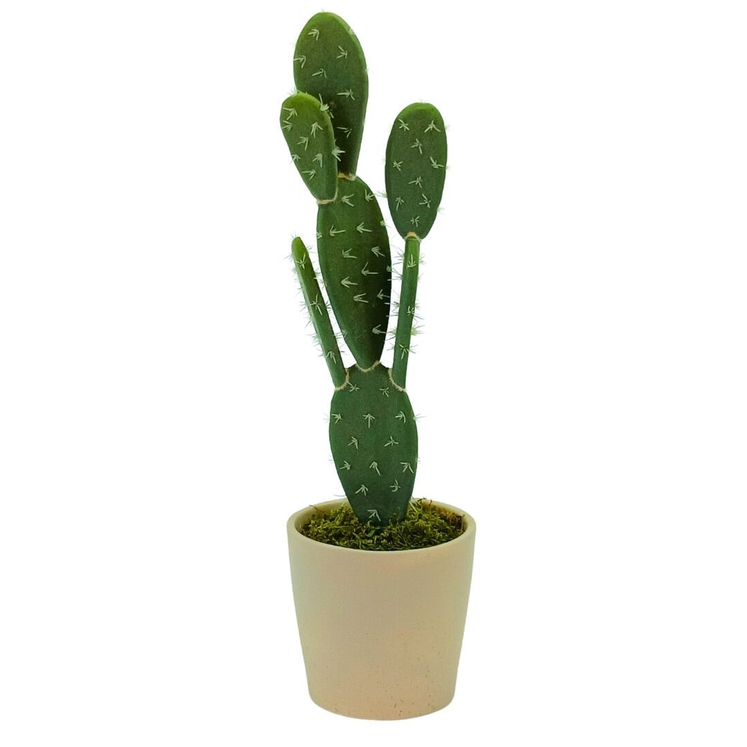 Saksılı Kaktüs 14x49cm