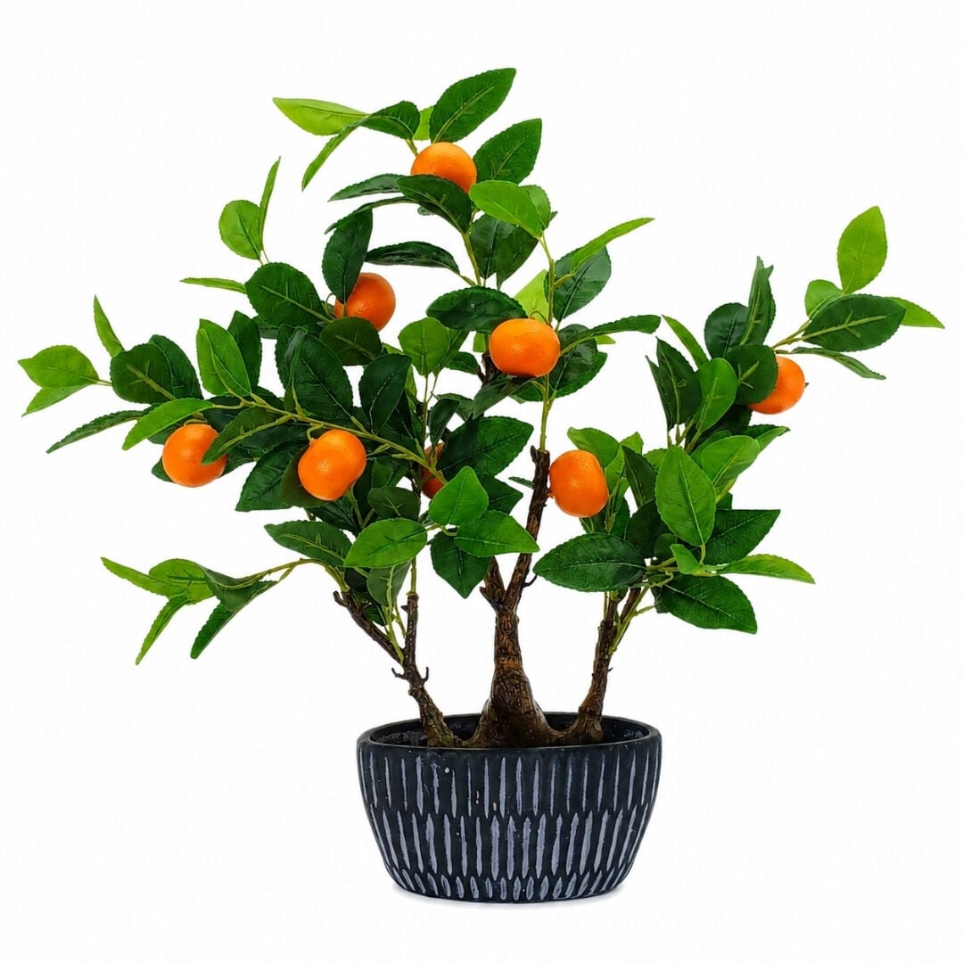 Mandalina Ağacı 60x60cm