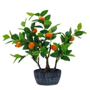 Mandalina Ağacı 60x60cm