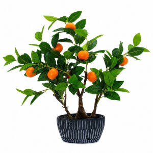 Mandalina Ağacı 60x60cm