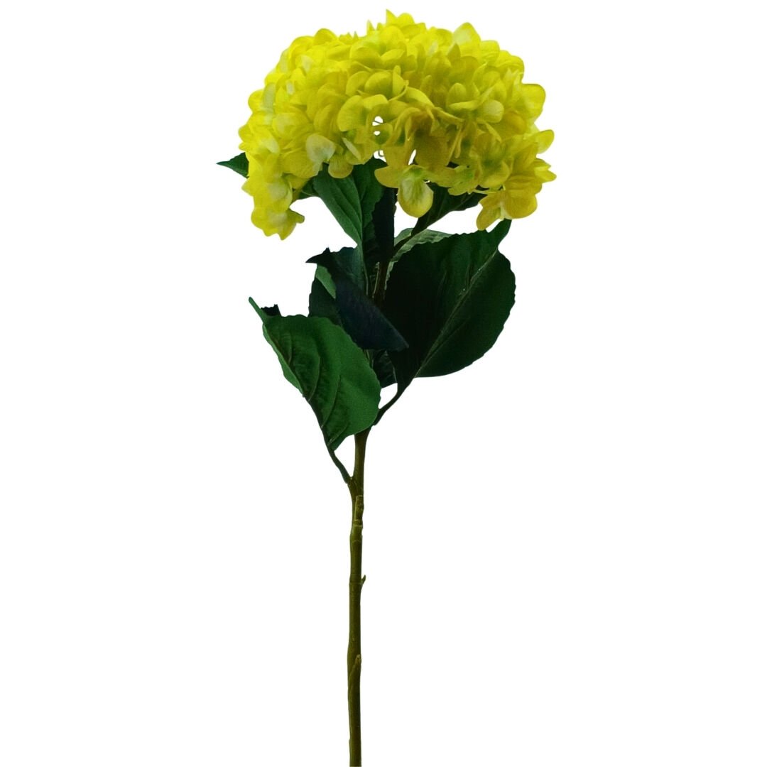 Islak Ortanca Sarı 24x106cm