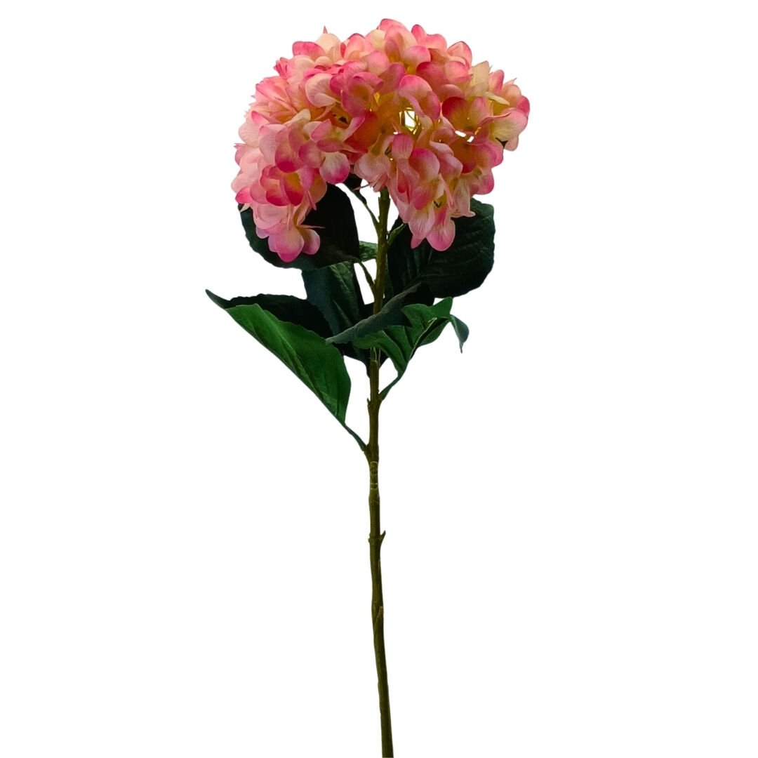 Islak Ortanca Pembe 24x106cm