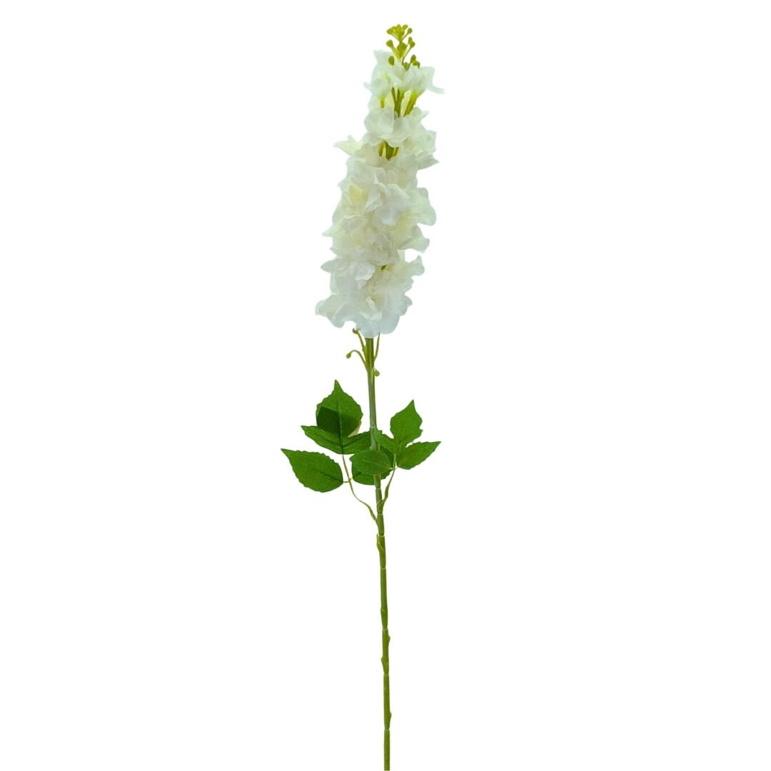 Şebboy Beyaz 80cm