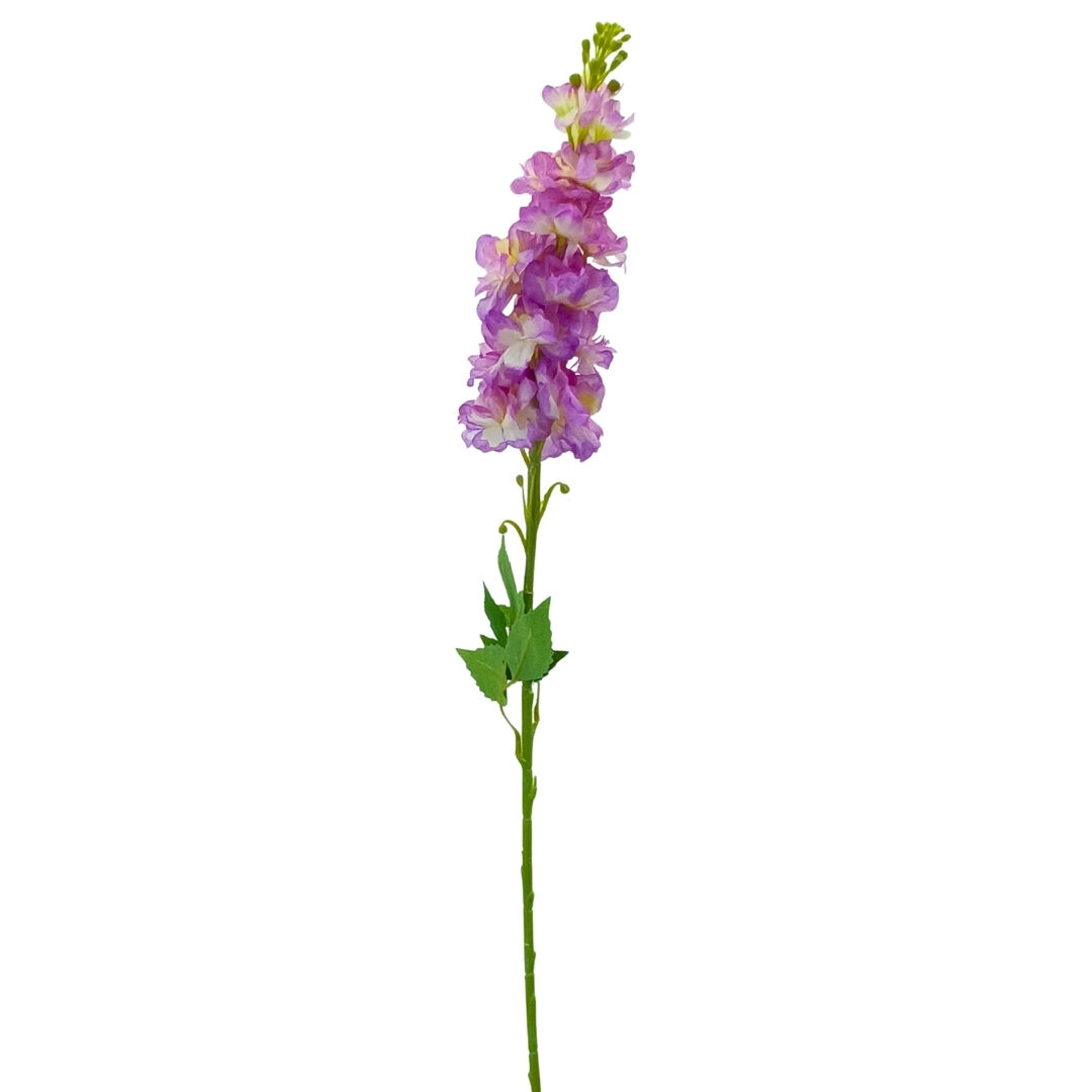 Şebboy Lila 80cm