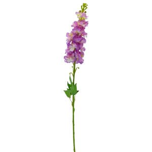 Şebboy Lila 80cm