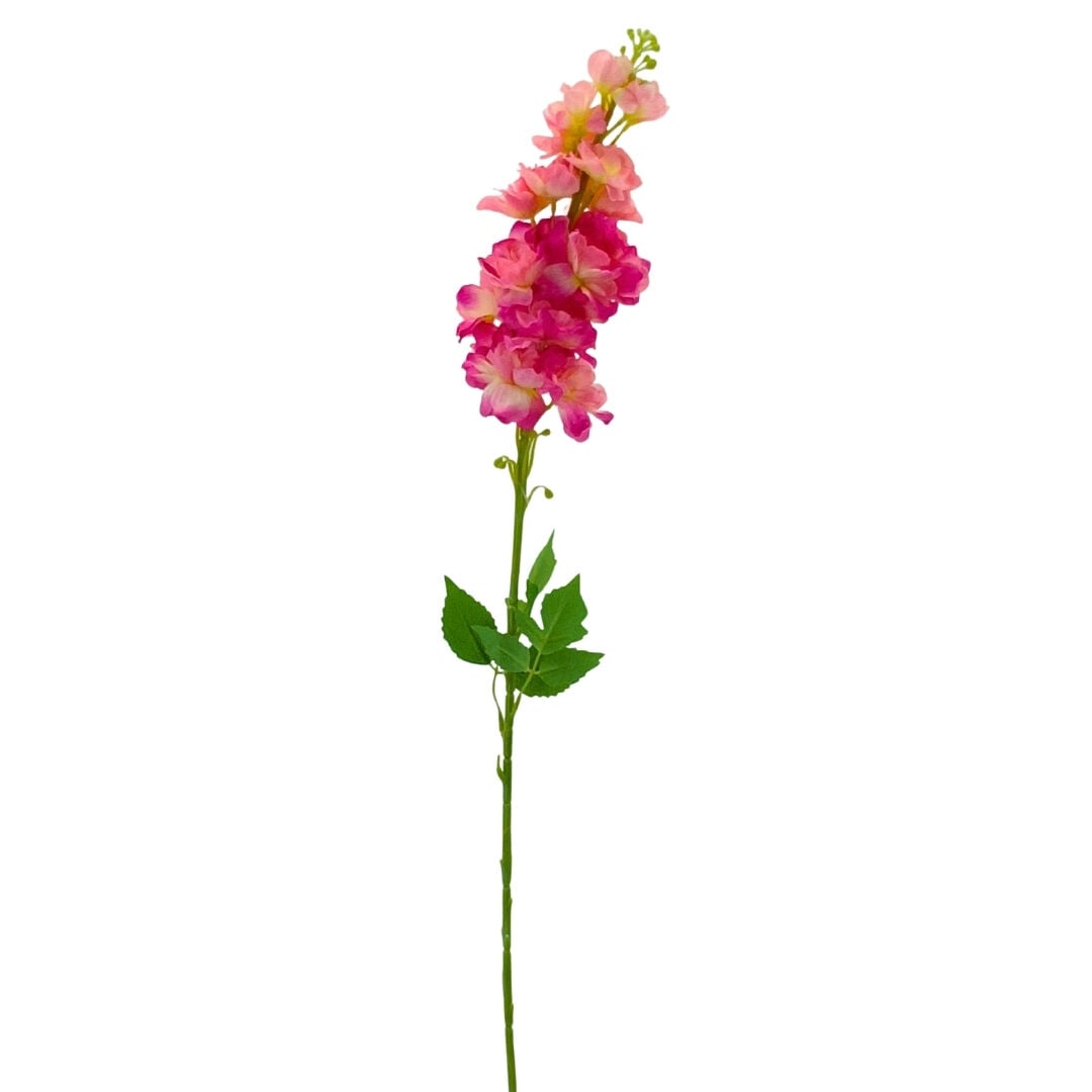 Şebboy Pembe 80cm