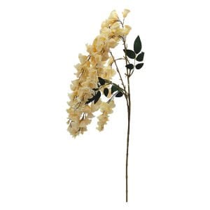 Boru Çiçeği Sarı 22x110cm