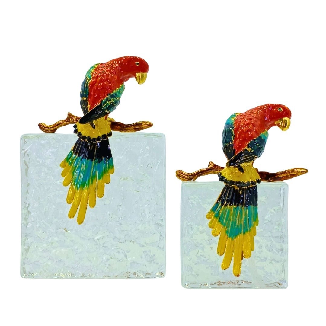 2li Set Papağan Obje 15x23cm