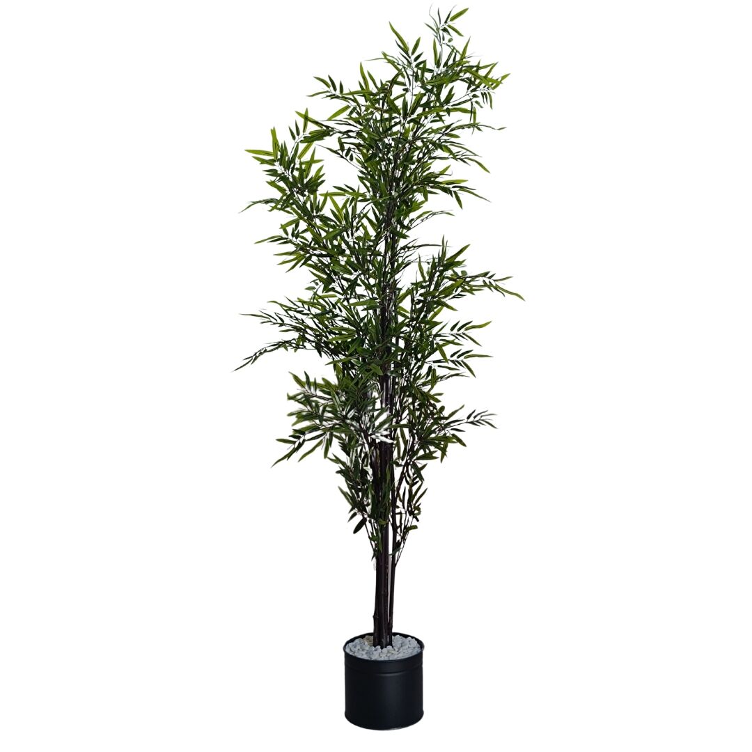 Bambu Ağaç Küçük 70x180cm