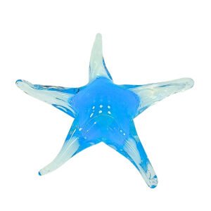 Cam Deniz Yıldızı 20x20cm