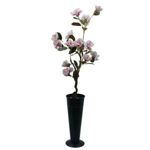 Manolya Ağaç 60x160cm