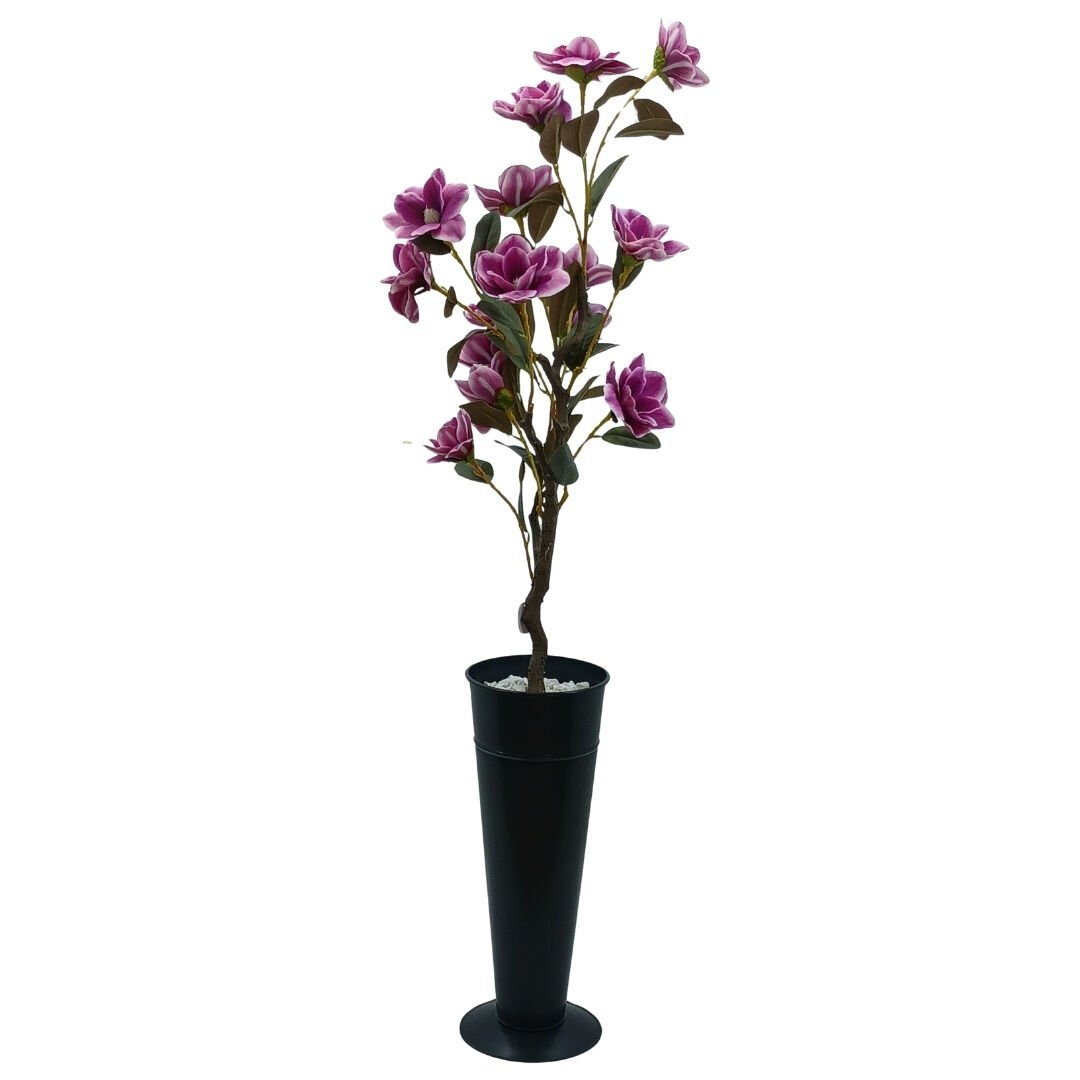 Manolya Ağaç 60x160cm