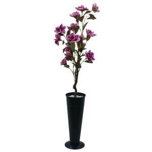 Manolya Ağaç 60x160cm