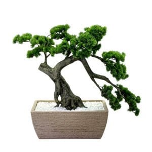 Bonzai Ağaç 120x120cm