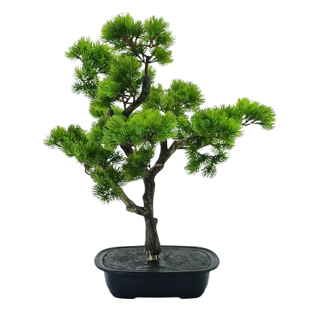 Bonzai Ağaç 47x60cm