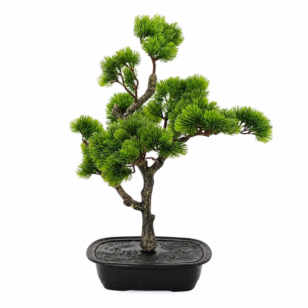 Bonzai Ağaç 47x60cm
