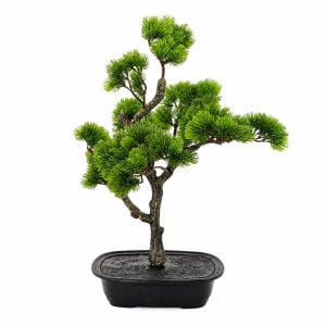 Bonzai Ağaç 47x60cm