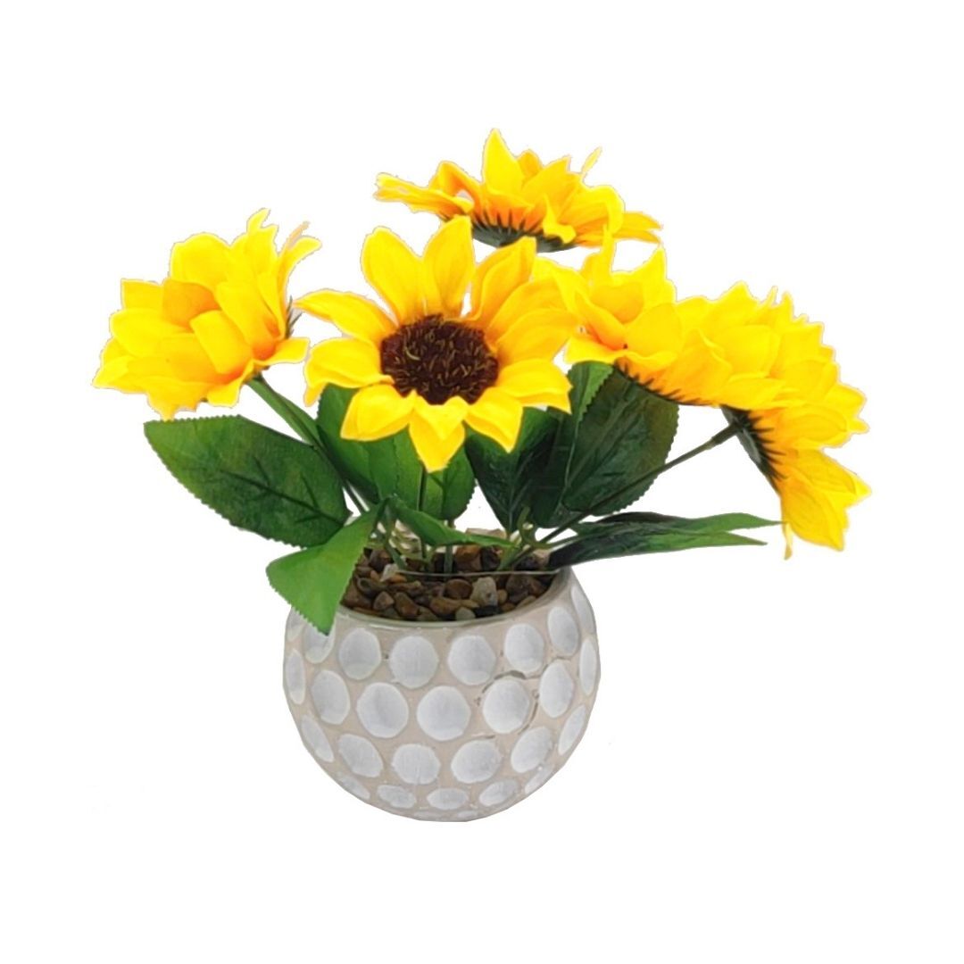 Saksılı Ayçiçeği 23x20cm