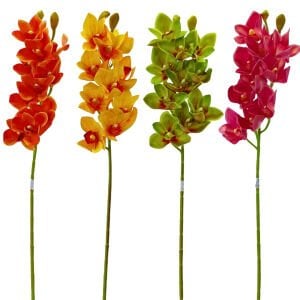 Spidyum Çiçek 75cm