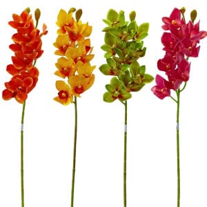 Spidyum Çiçek 75cm