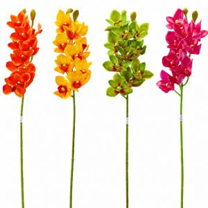 Spidyum Çiçek 75cm