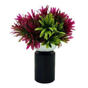 Saksılı Bitki 20x22cm