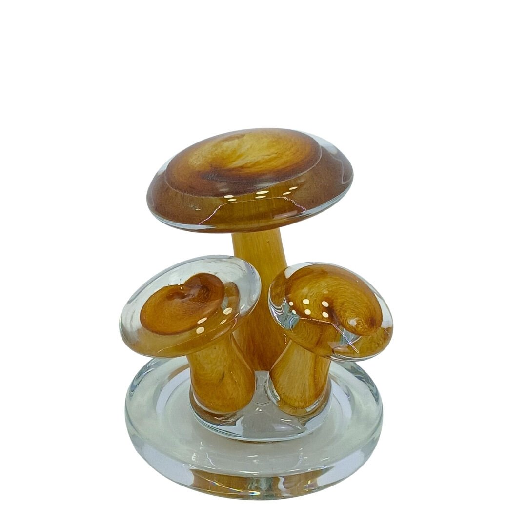 Mantar Cam Obje 12x17cm