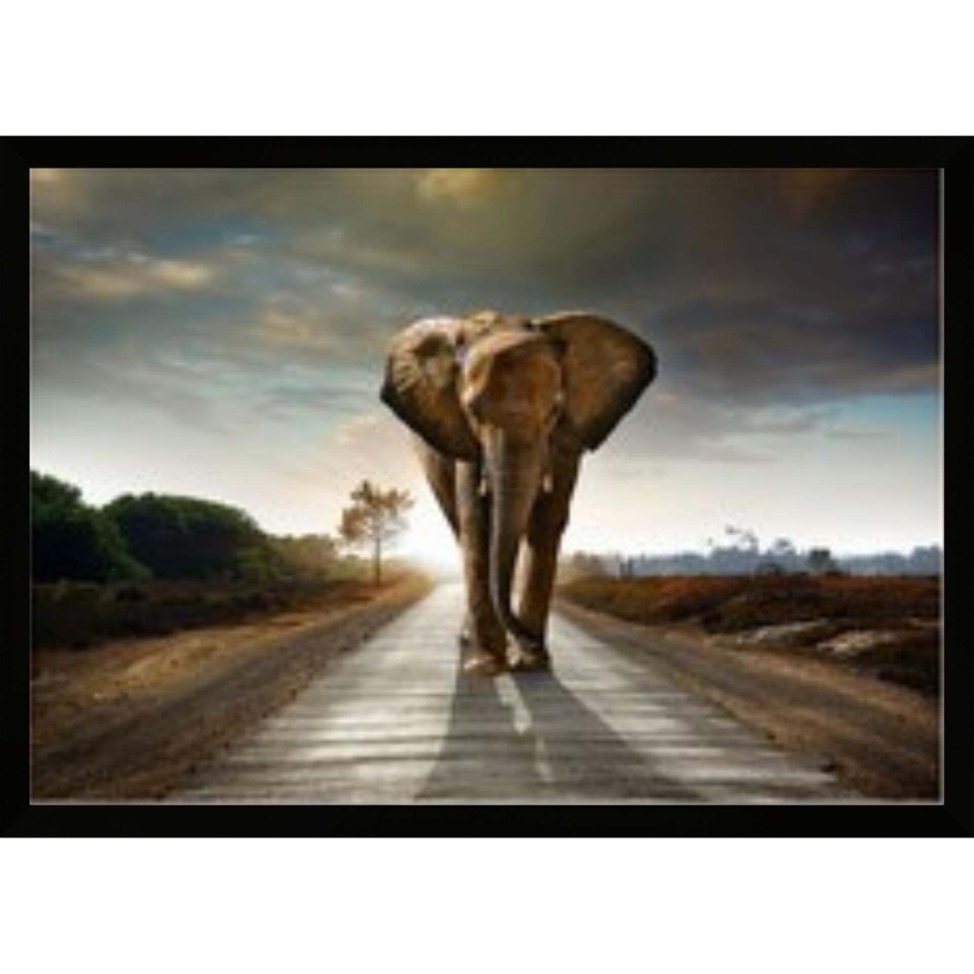UV Yürüyen Fil Tablo 75x105cm