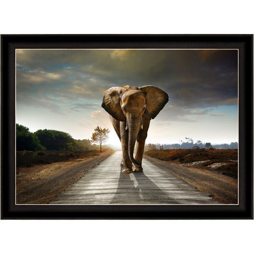 UV Yürüyen Fil Tablo 75x105cm