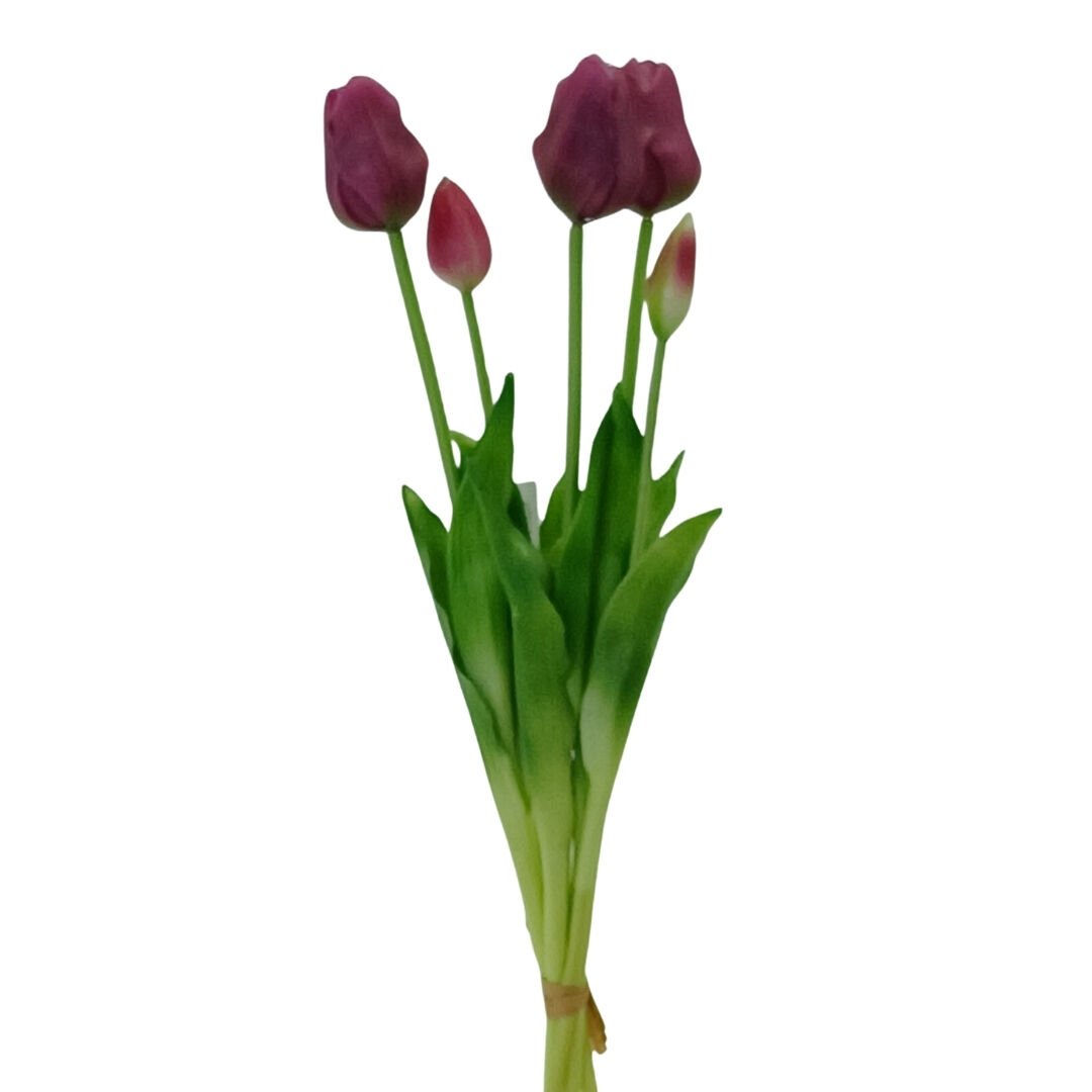 Islak Dokulu Lale Mor 47cm