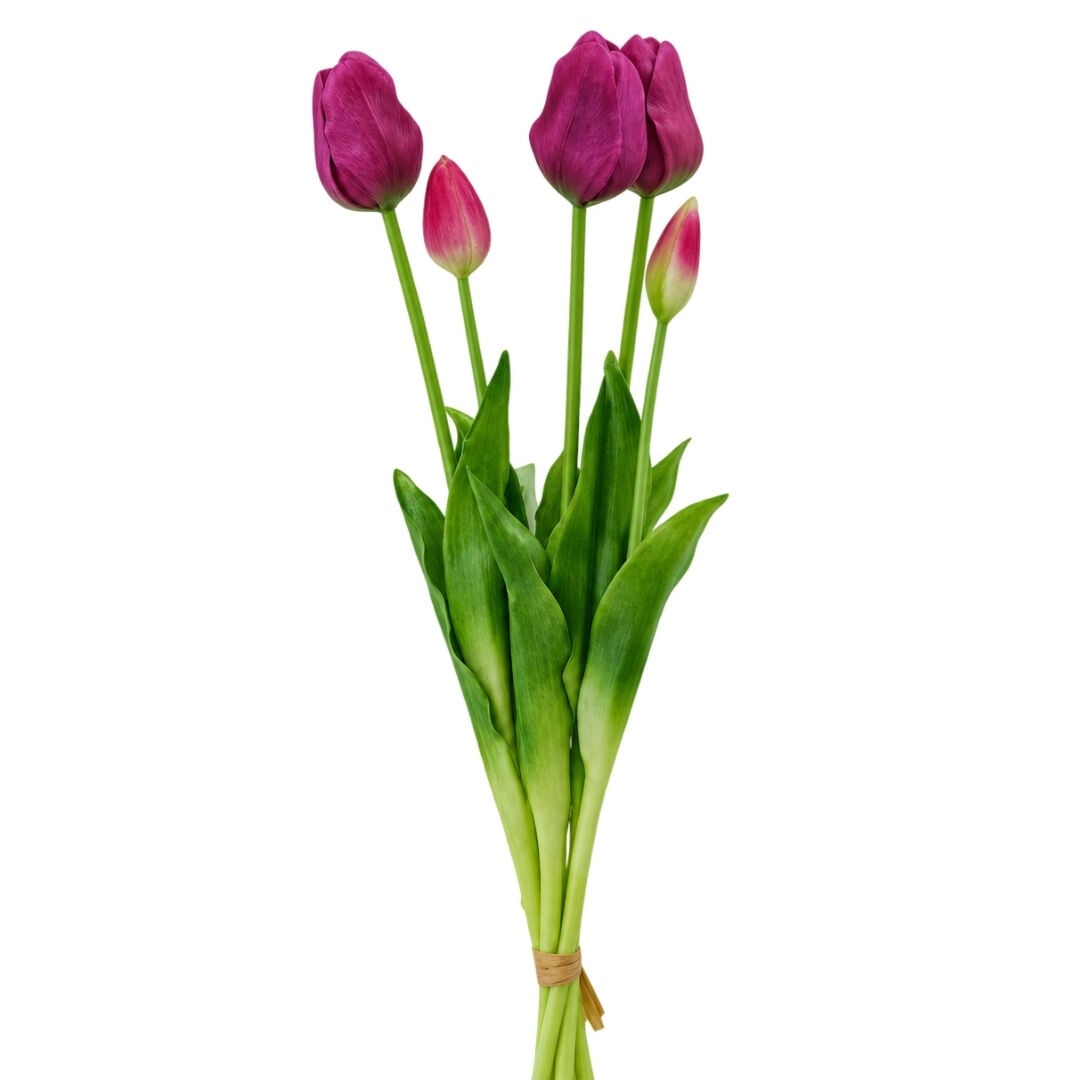 Islak Dokulu Lale Mor 47cm