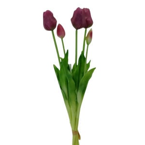 Islak Dokulu Lale Mor 47cm