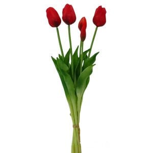 Islak Dokulu Lale Kırmızı 47cm