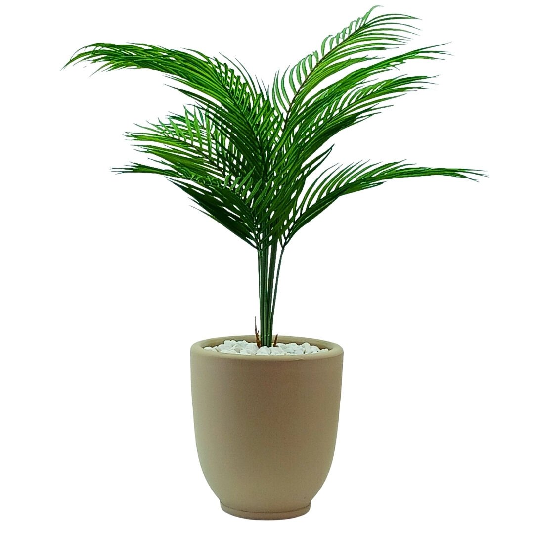 Mini Areka Ağaç 66x74cm