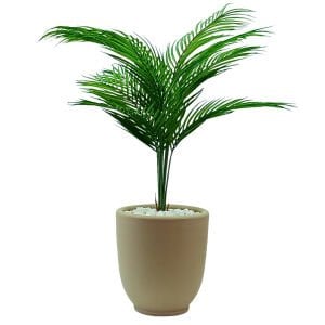 Mini Areka Ağaç 66x74cm